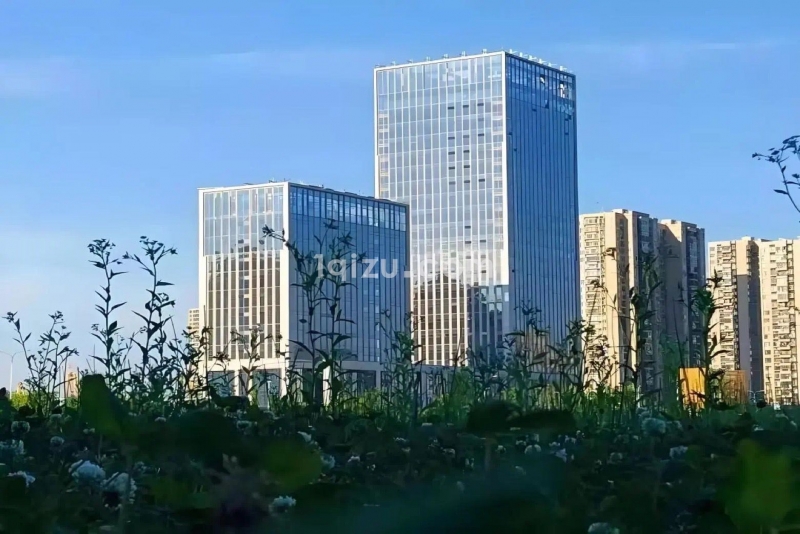 浙水大厦